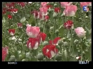 Afghanistan : Hamid Karzaï confronté à de nombreux défis