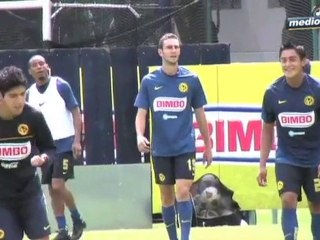 Medio Tiempo.com - América, 29 de octubre 2010