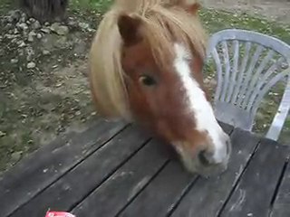 28/10/2010: les stagiaires ont invité D.J. à leur goûté!