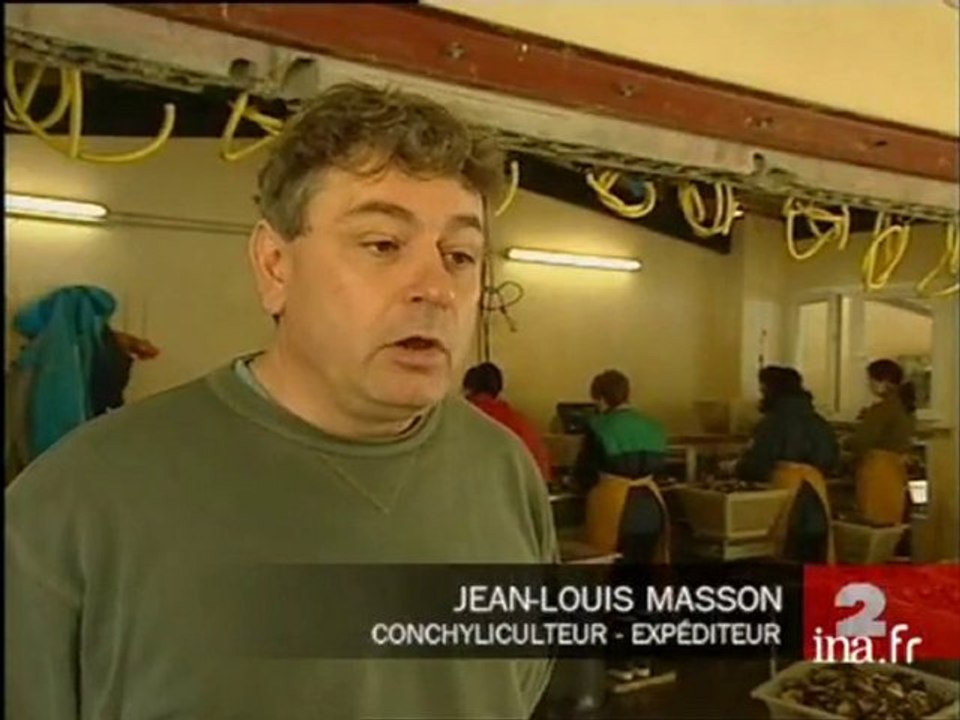 [Huîtres polluées dans l'étang de Thau]