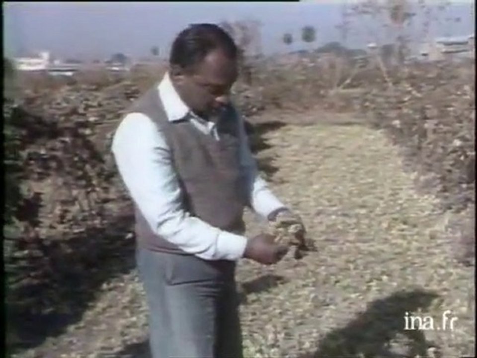 Inde Bhopal