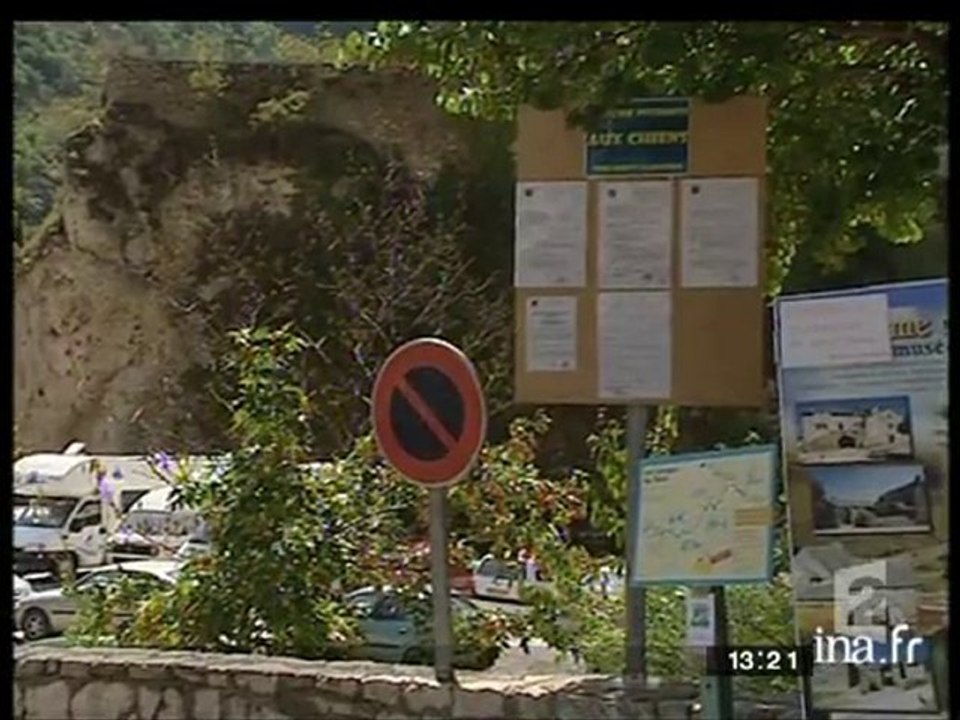 Algue tueuse de chiens