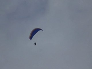 décrochage d'olivier au dessus du lac de serre ponçon