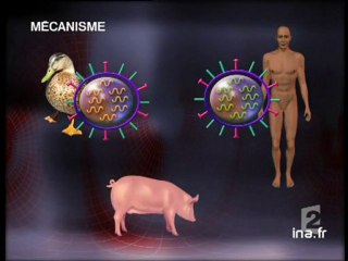 [Santé publique : fonctionnement des virus de la grippe]