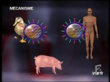 [Santé publique : fonctionnement des virus de la grippe]