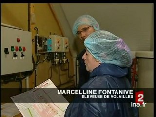 Création d'un label "Volaille française"