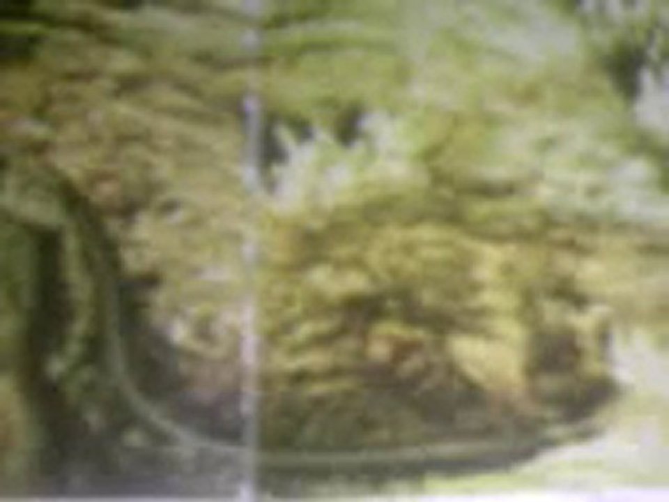 Alien base lunaire Underground (2)