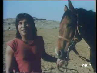 Réactions cow-boys américains