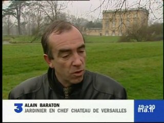 Replantation dans les jardins de Versailles après tempête