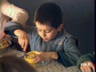 Réactions projet Lang : langues régionales