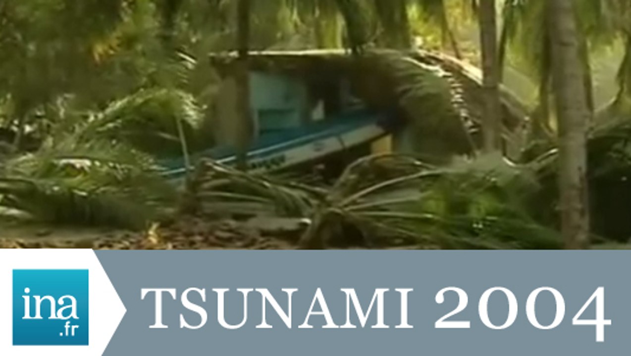 Situation humanitaire dramatique à Pondichéry après le tsunami - Archive INA