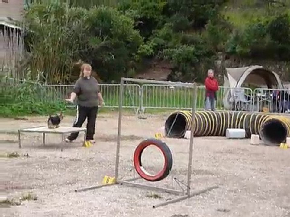 Bambou - Open Ollioules