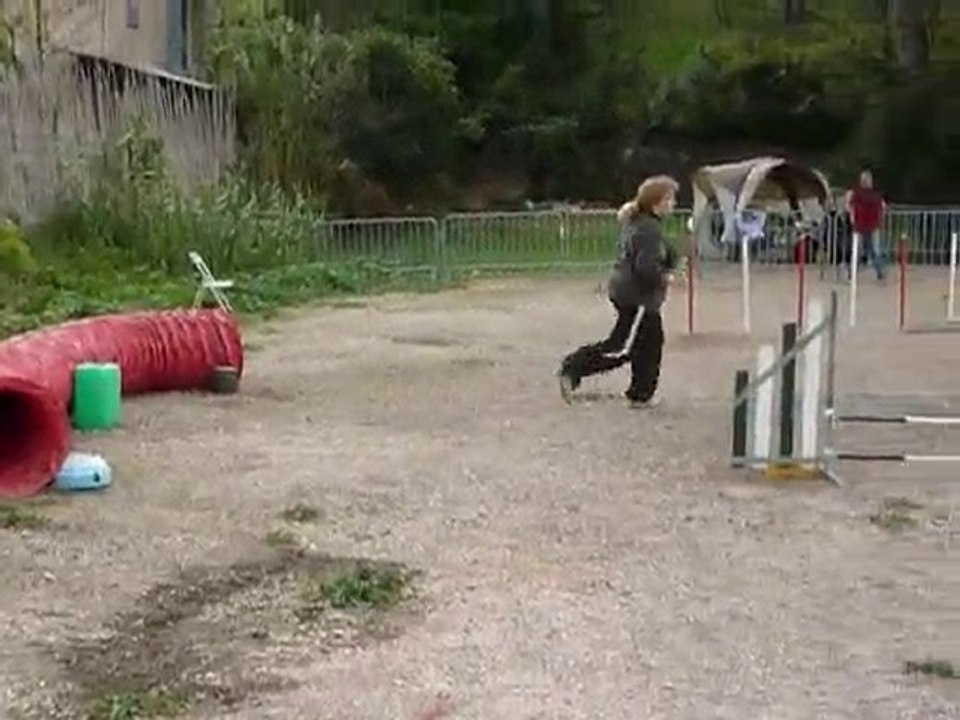 Bambou - 2e degre Ollioules