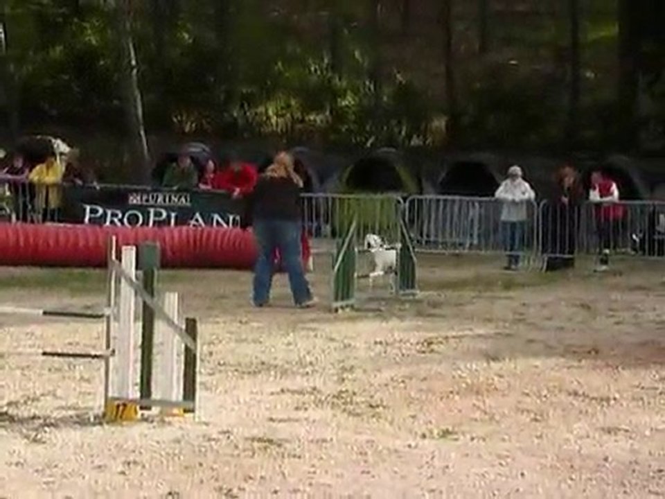 Daisy - GPF Ollioules