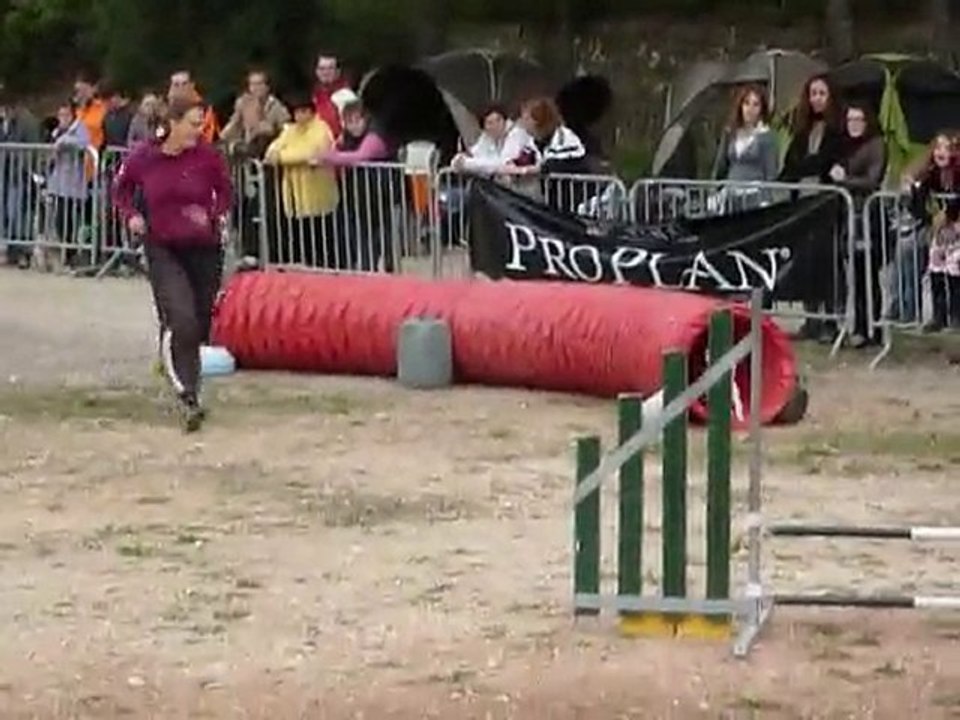 Vodka - Jumping Ollioules