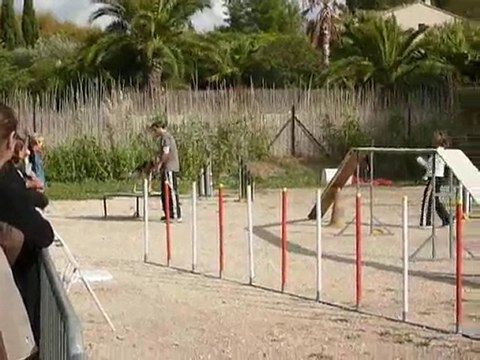 Brownie - GPF Ollioules