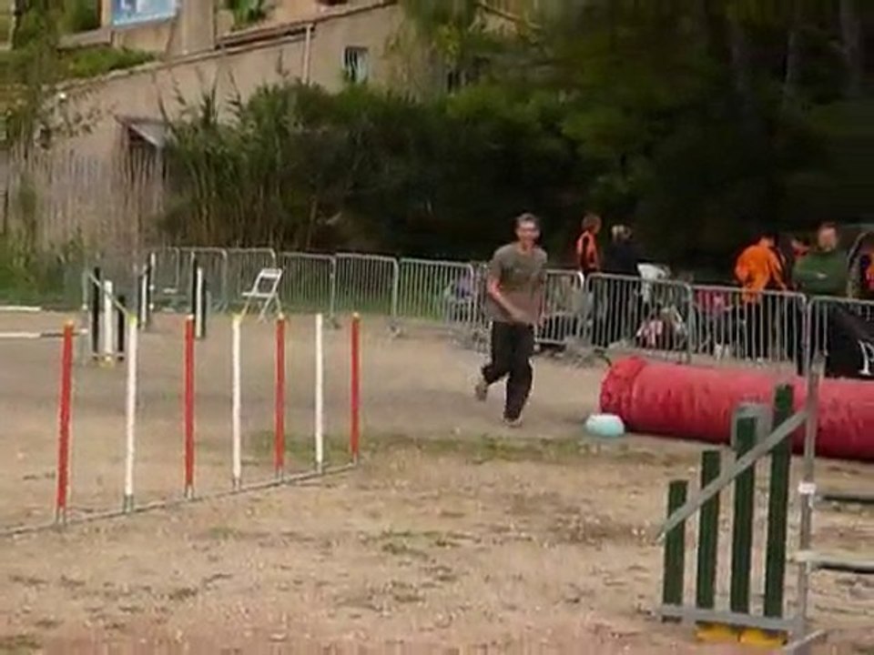 Brownie - Jumping Ollioules