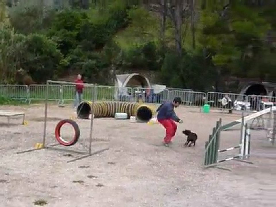 Asian - Open Ollioules