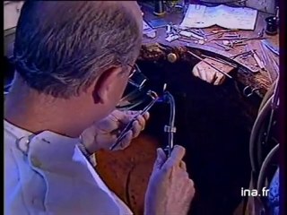 Les volontaires du service national