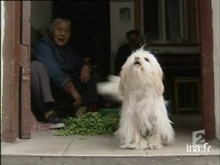 Exposition universelle à Shangaï