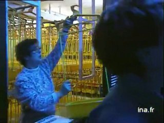 Concert subaquatique "Crysallis" au festival des 38èmes Rugissants