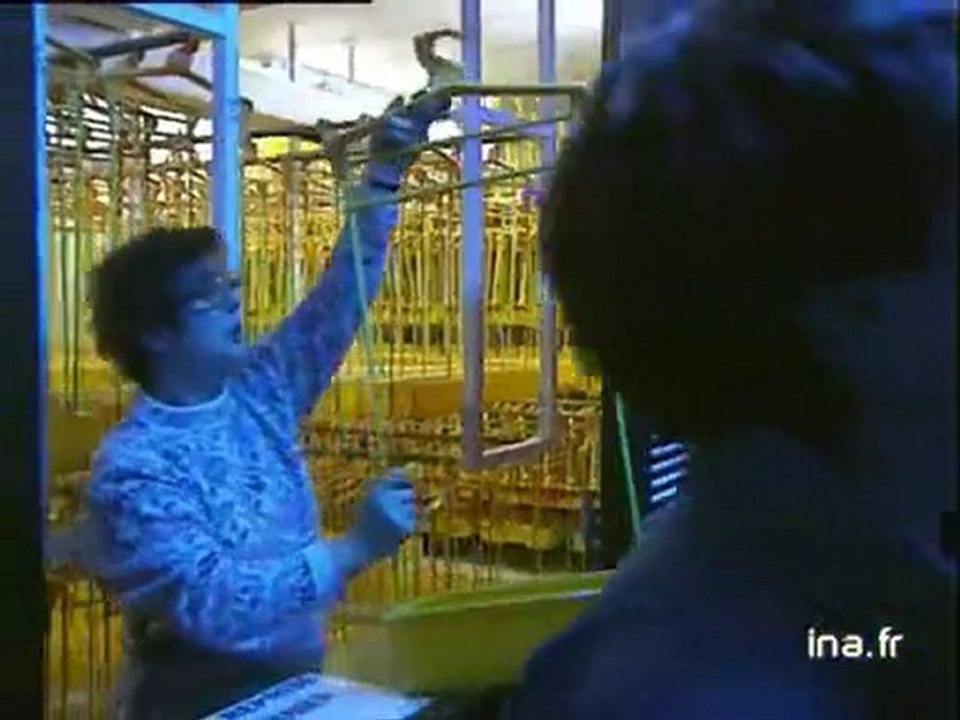 Concert subaquatique "Crysallis" au festival des 38èmes Rugissants