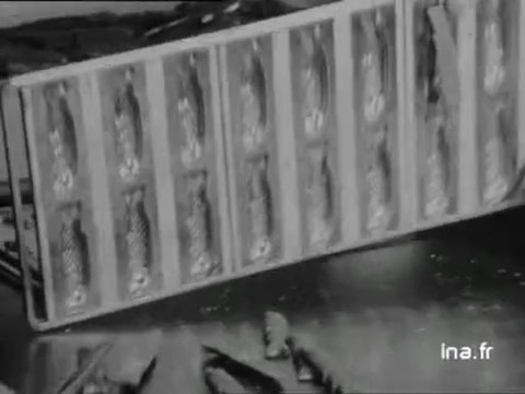 Fabrique de sujets en chocolat pour Pâques - Archive vidéo INA