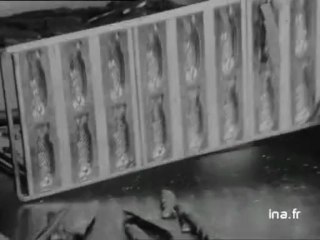 Fabrique de sujets en chocolat pour Pâques - Archive vidéo INA