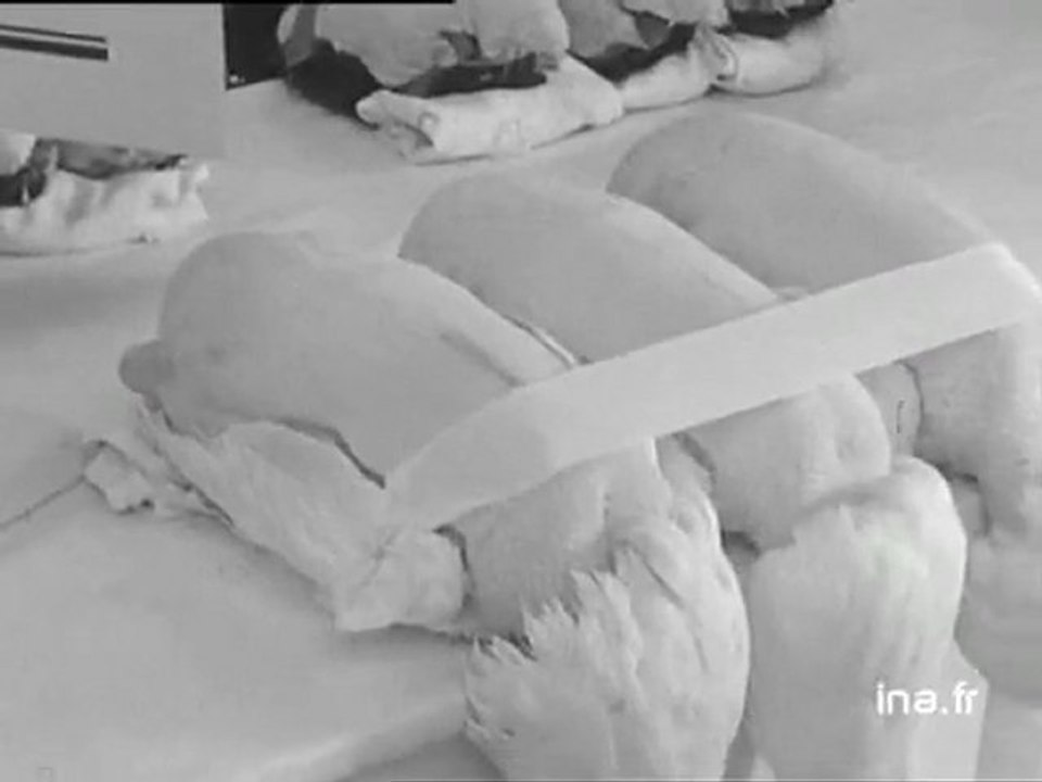 Concours de volailles à Bourg en Bresse