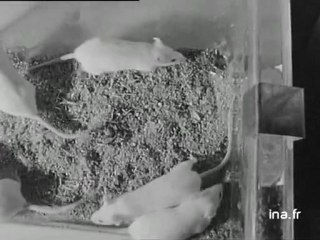 La faculté de médecine de Besançon