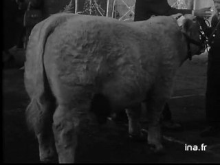 Le concours général agricole de Nevers