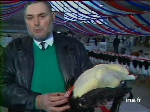 Concours de volailles : les trois glorieuses de Bourg en Bresse