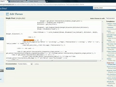 Add Post Tags To WordPress, Missing Post Tags
