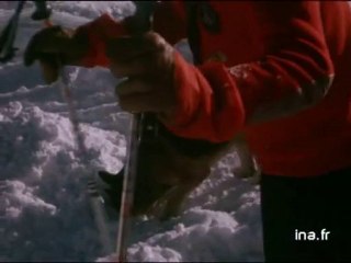 Les chiens d'avalanche