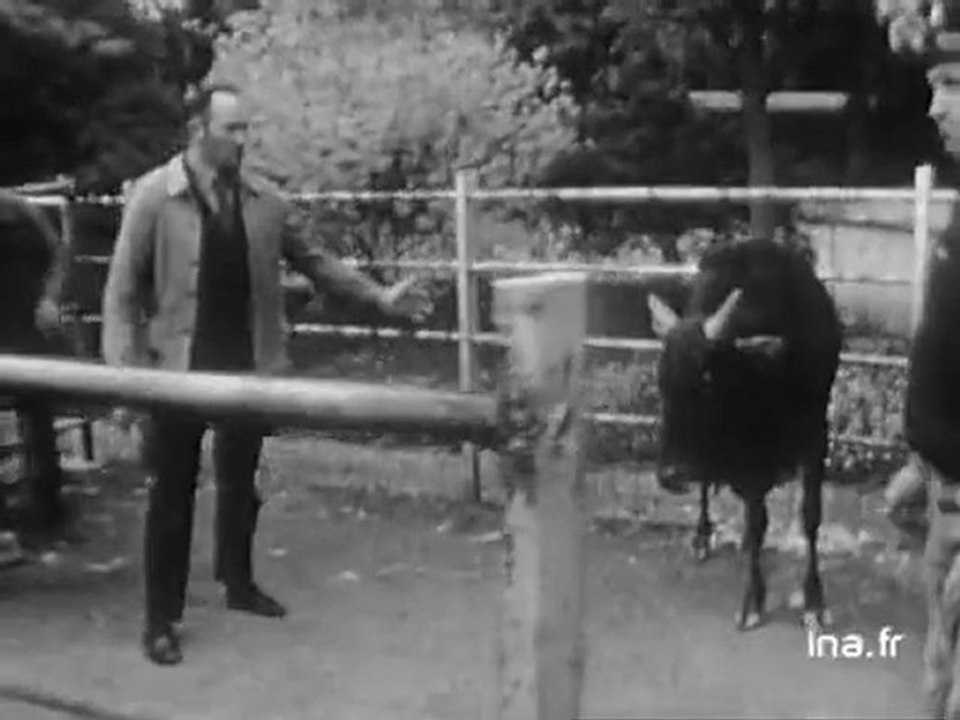 Amiens : Grève au zoo