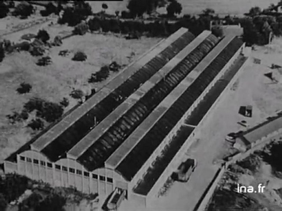 Usines Citroën