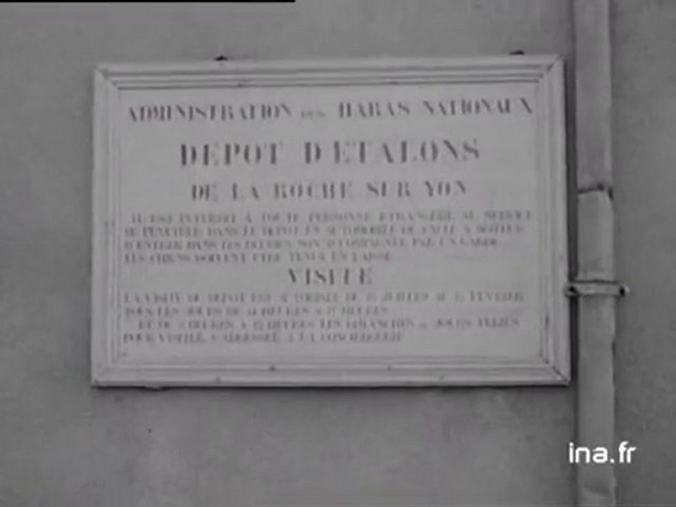 La Roche/Yon (Vendée) : spot haras