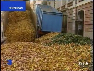 MANIFS AGRICULTEURS FNSEA
