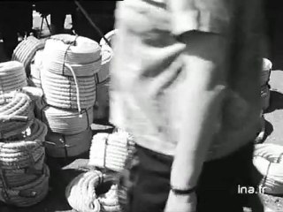 Foire de Saint Loup à Limoges : braderie et foire aux chevaux