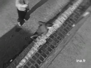 Jeunes pompiers de Guéret