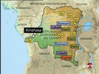 [RDC : gâchis économique]