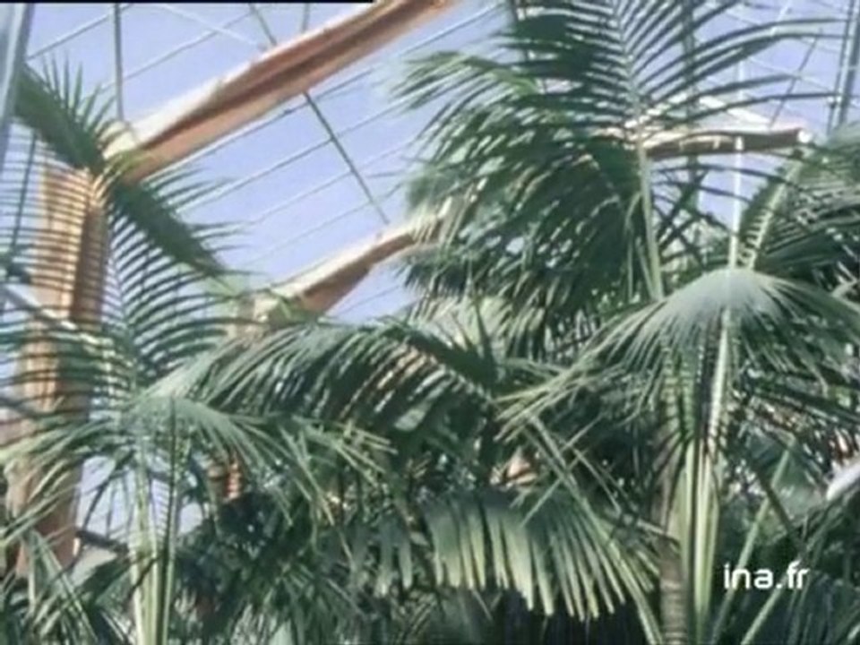 Développement des espaces verts à Nancy