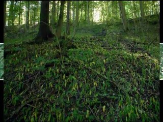 How to Have A Greater Spiritual Connection