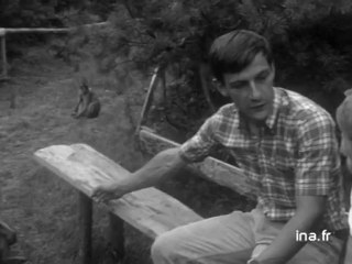 La montagne des singes