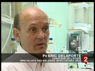 [Les singes à l'origine du Sida]