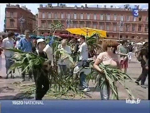 [Faucheurs volontaires de champs OGM]