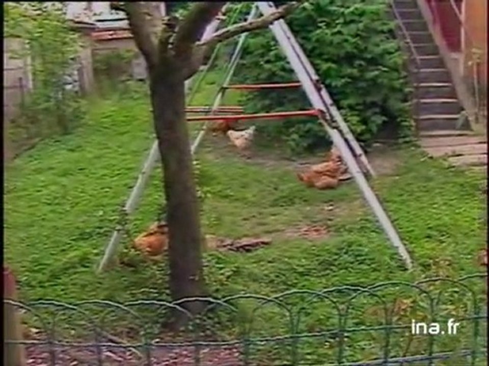 Rénovation maison Le Corbusier à Fruges