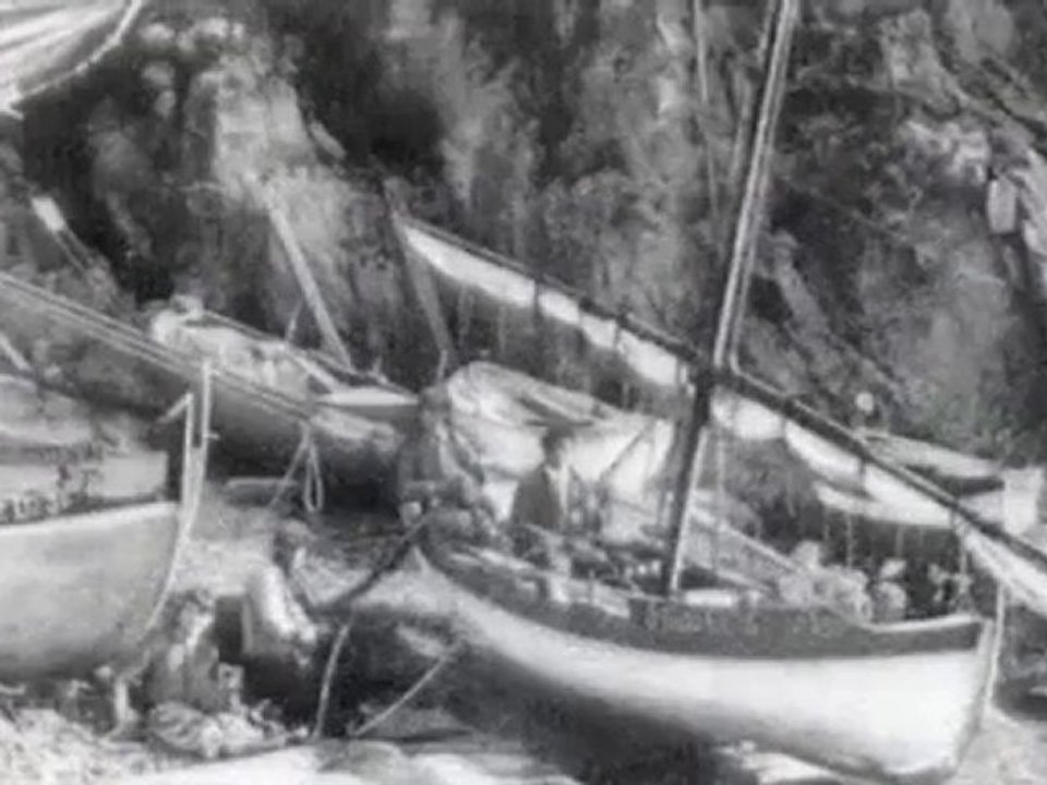 Havanera Francesc Barbachano