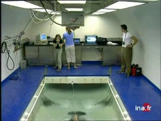 Maillot natation speedo