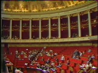 Assemblée nationale : bavure et immigrés